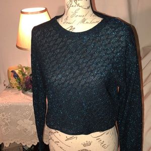 🌸❋ NWT 🌷Zara 🌷Blue Metallic Textured Crop Top